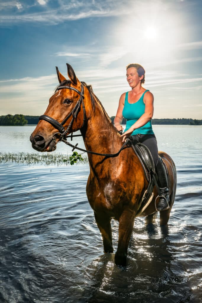 badende Pferde im Bergwitzsee