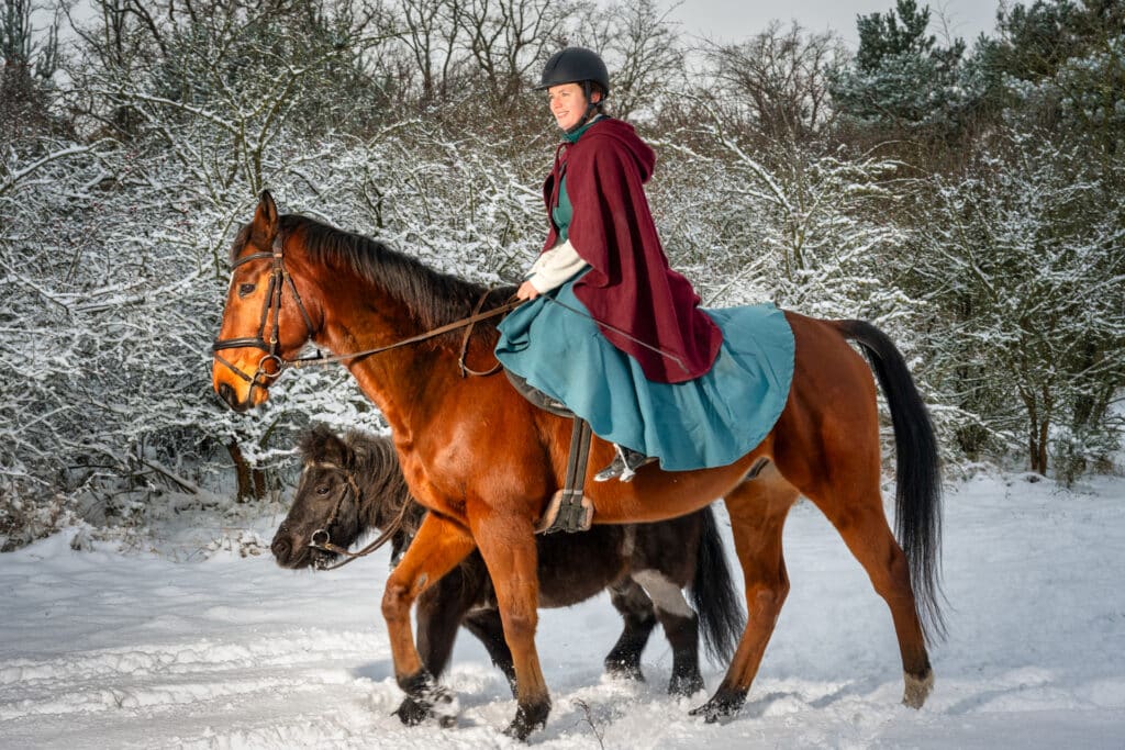 Pferde im Schnee 9 Pferde im Schnee