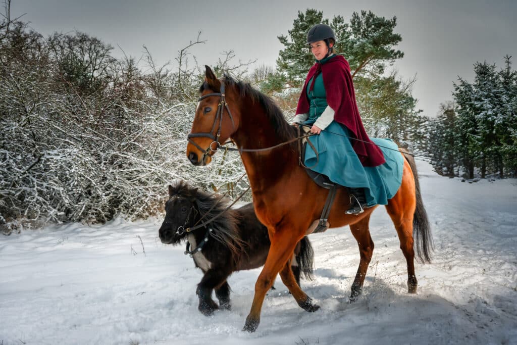Pferde im Schnee 8 Pferde im Schnee