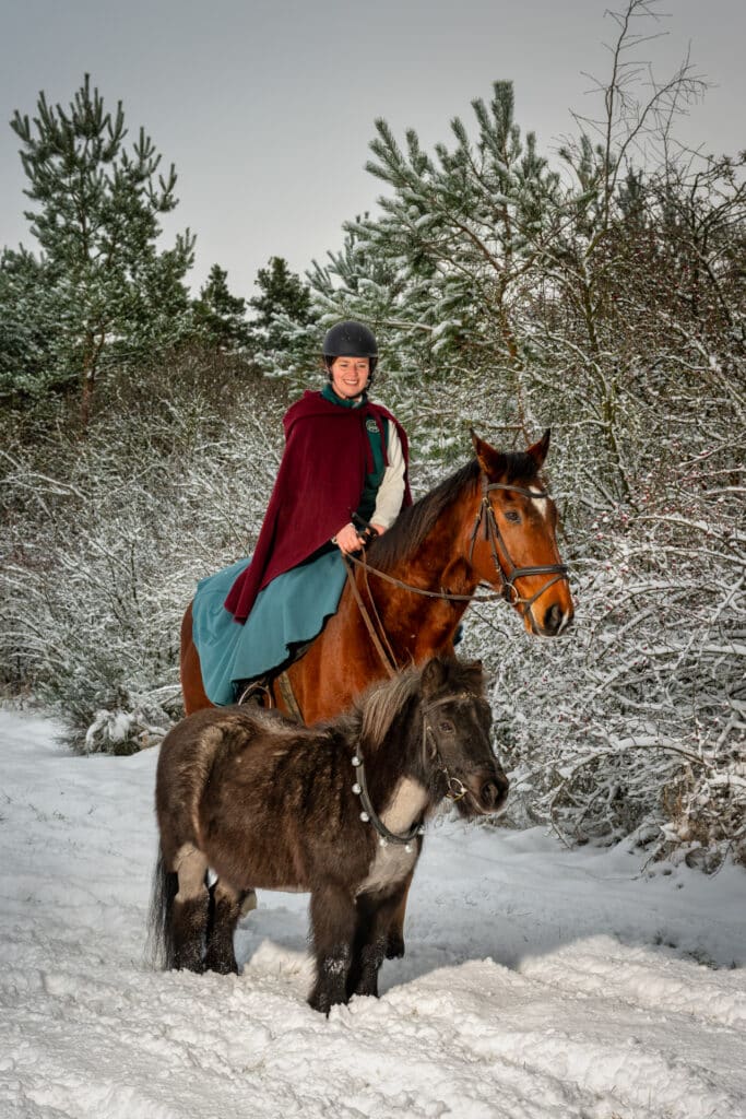 Pferde im Schnee 6 Pferde im Schnee